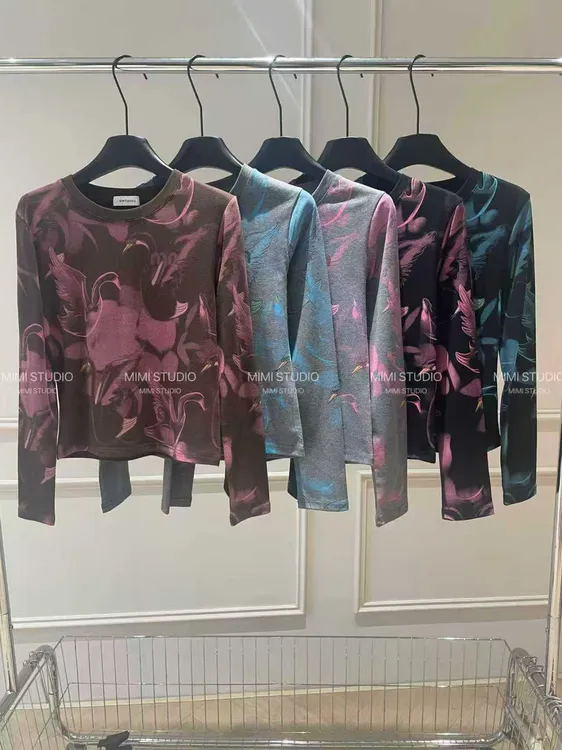 2025秋季新款 欧货显瘦印花圆领长袖T恤女气质时尚百搭上衣#435