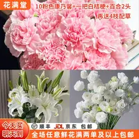 【次日达·吉馨永伴】10粉色康乃馨+白桔梗+百合2头赠送4枝配草·满两单鲜花顺丰满三单鲜花送花瓶 鲜花包邮