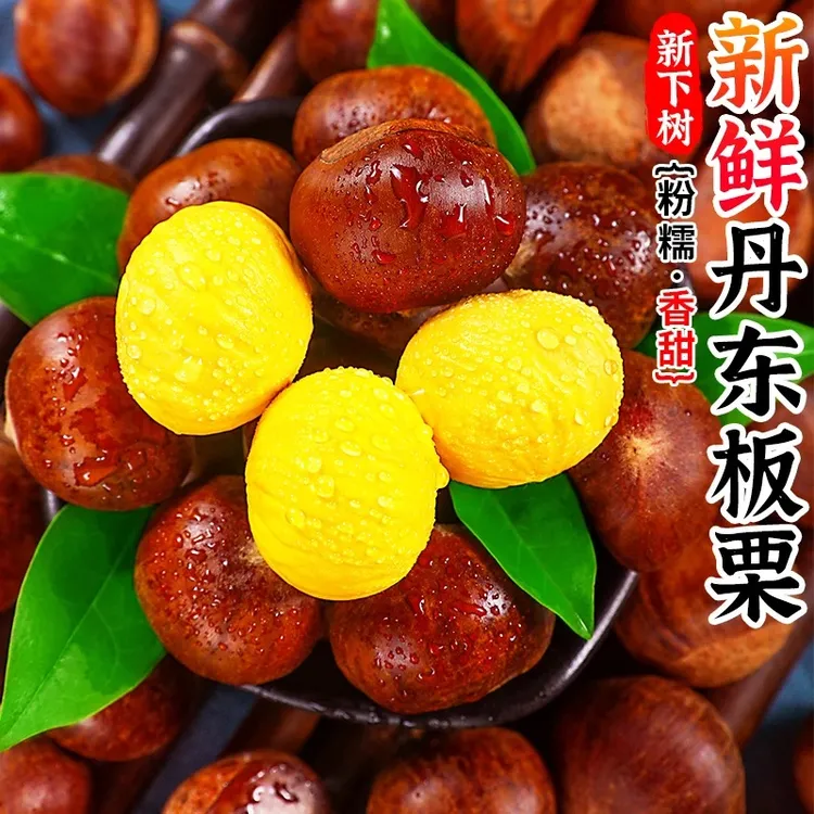 【粉糯香甜】新鲜丹东板栗1-5斤 毛栗子生板栗带壳锥栗嫩板栗难剥皮