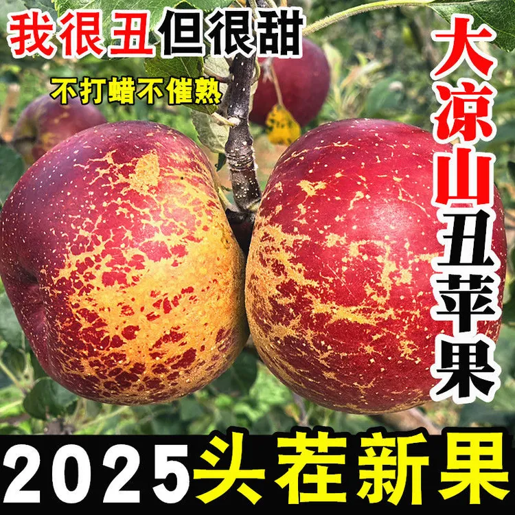 正宗四川大凉山红将军丑苹果现摘现发脆甜多汁