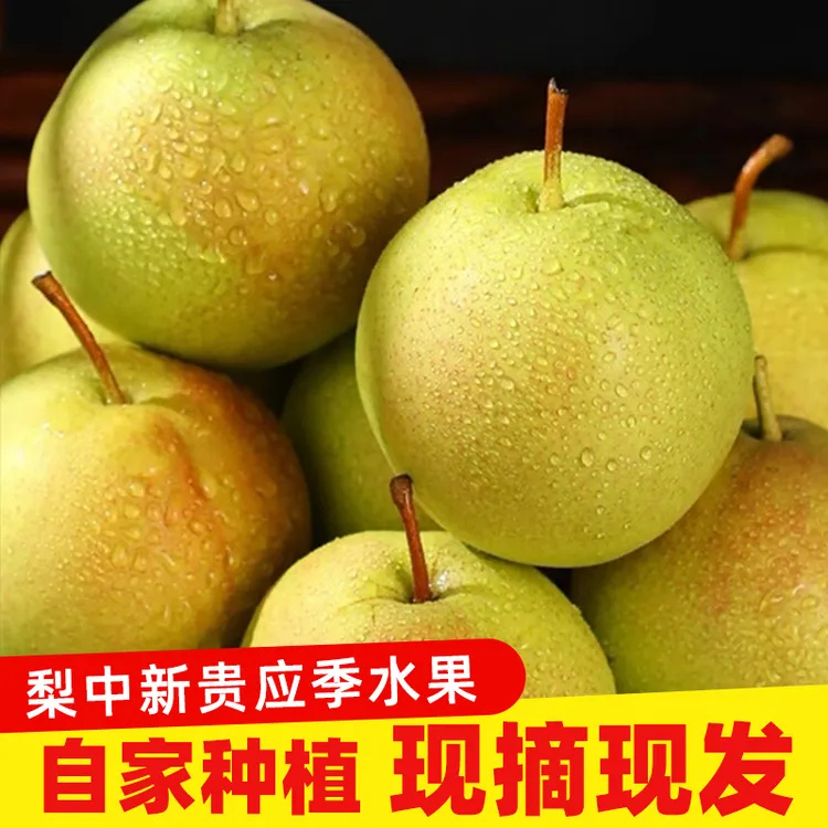 【顺丰包邮】山西正宗丹霞红酥蜜梨脆甜爽口梨中新贵应季水果