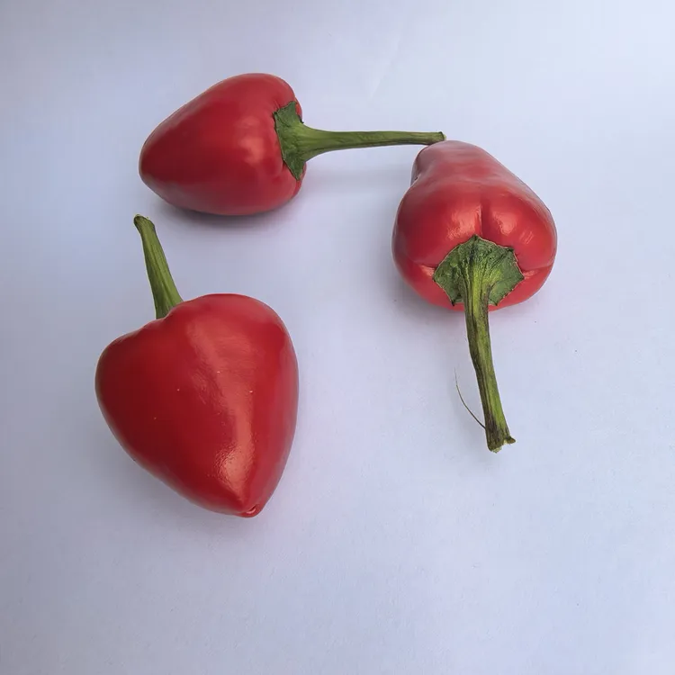 贵州赫章露天种植现摘新鲜辣椒草莓辣椒灯笼椒剁椒云贵川泡椒原料