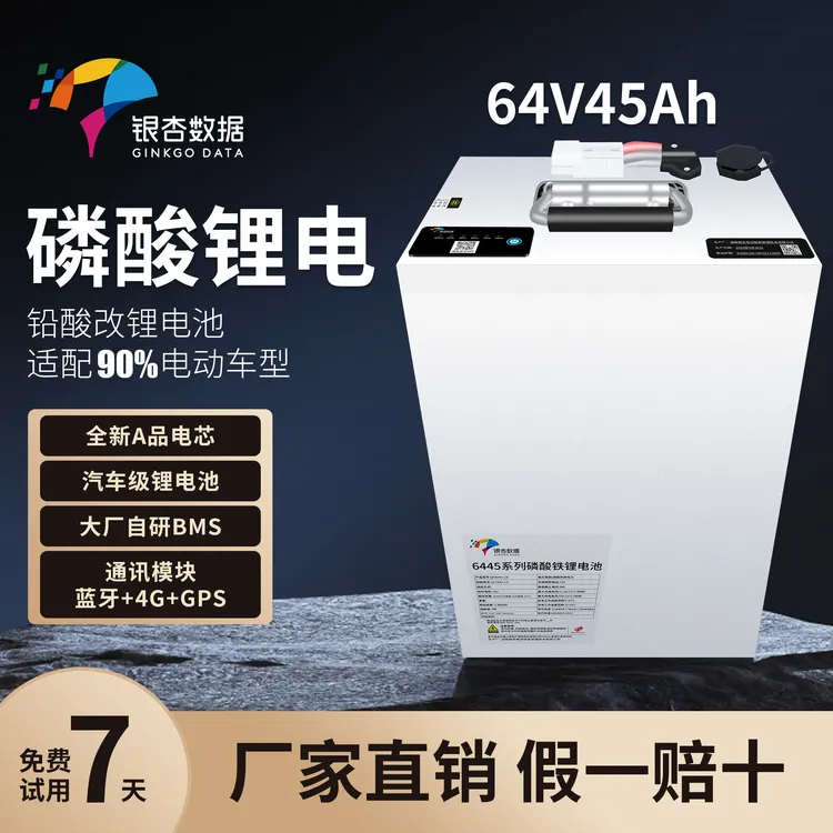 铁锂64V45ah银杏乐行两三轮四轮低速电动车电池外卖长续航