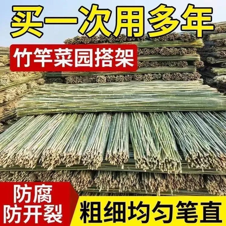 西红柿菜园搭架小竹竿蔬菜爬藤架适用于黄瓜豆角支撑