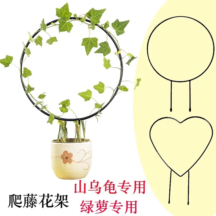 心形圆形花架室内山乌龟绿萝爬藤架子攀爬支架造型金属支撑架子