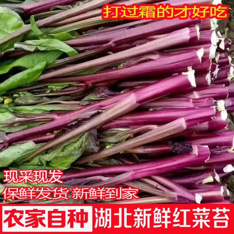 湖北新鲜红菜苔农家自种现采现发武汉洪山菜苔红菜芯湖北特产