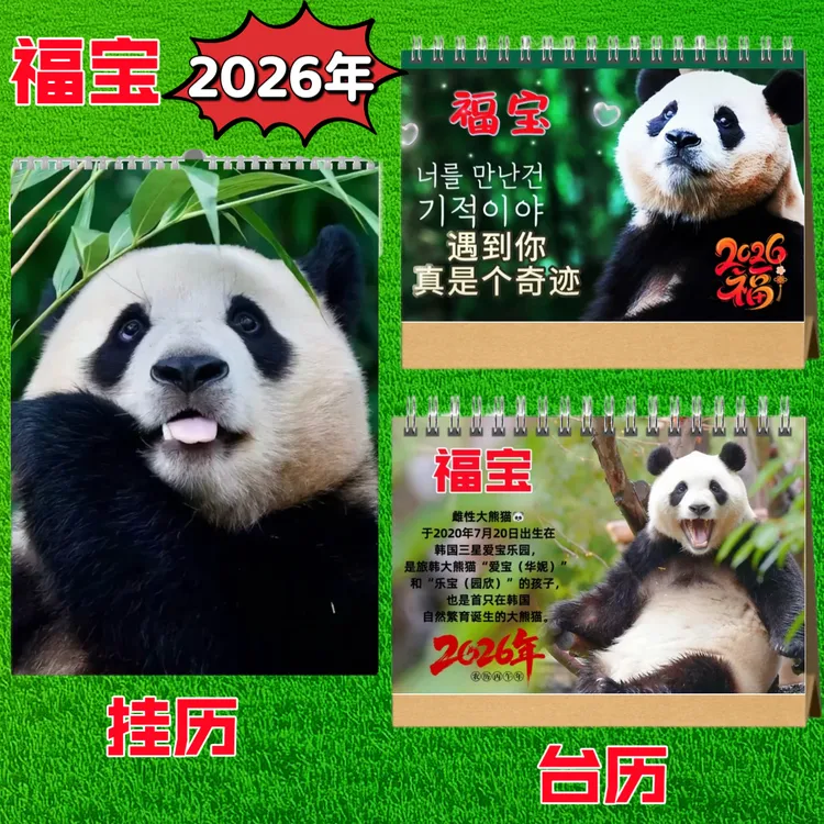 大熊猫福宝2026年台历日历挂历福宝爱宝周边桌面摆件