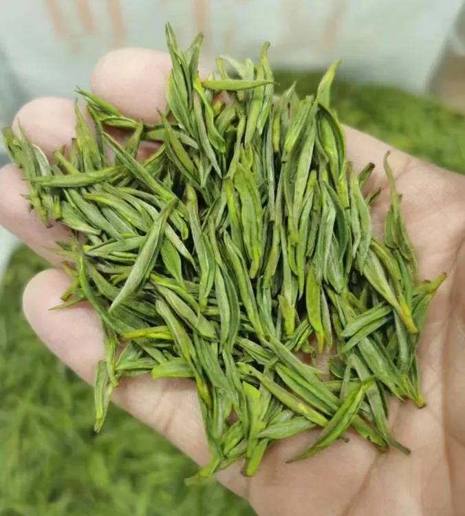 (中秋特价)安吉石角白茶正味兰花香新茶鲜爽回甘白茶(临时链接)