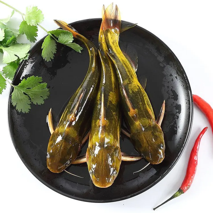 东北野生嘎牙鱼顺丰冷链发货新鲜美味