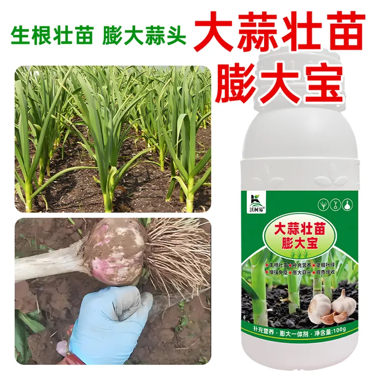大蒜专用肥补充大蒜营养生根壮苗膨大蒜头专用正品直销绿色水溶肥