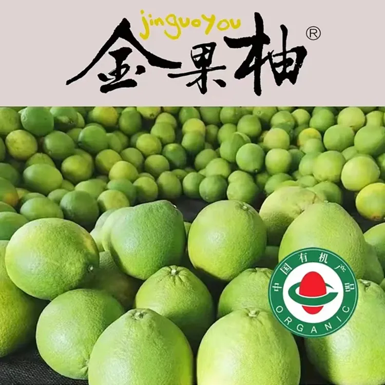 金果柚韶关金果柚现摘现发纯甜无酸水分充足柚子