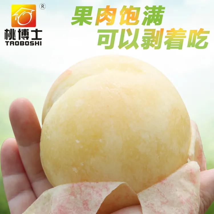 【果园直发】阳山水蜜桃精品礼盒