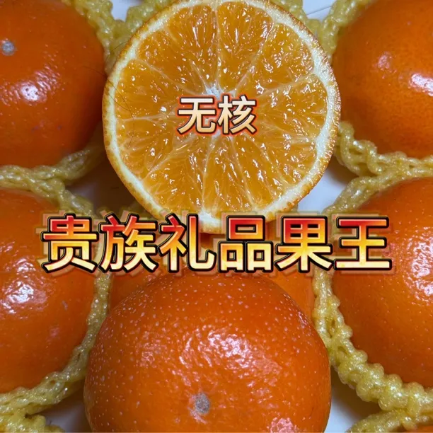 【叶华专属】礼品果【贵族无核果王】A级精选沃柑脆甜现摘现发