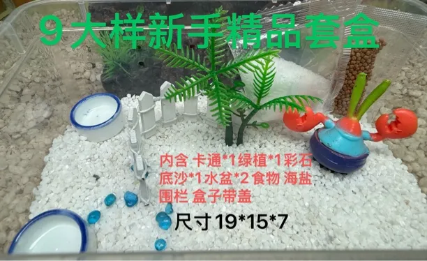 寄居蟹宠物用品新手套盒内含9大样饲养盒办公室桌面小宠