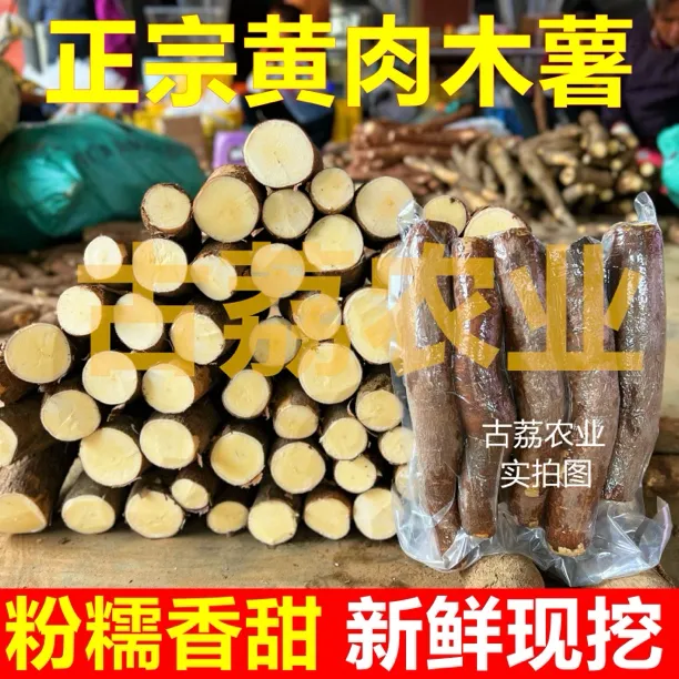 糖水店同款【现挖现发】广西新鲜黄肉木薯现挖黄心粉软糯面包鸡蛋薯