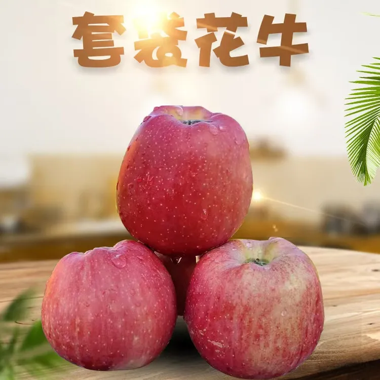 甘肃秦安正宗套袋花牛苹果一果两吃新鲜水果（中果）