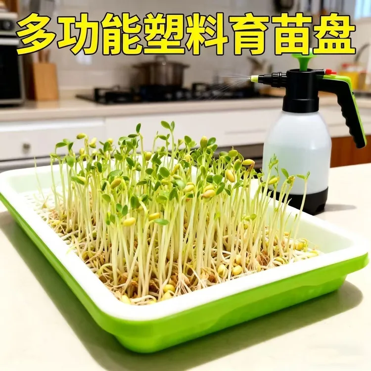 育苗盘芽苗菜种植盒水培蔬菜豆芽小麦苗豌豆无土栽培神器轻奢花瓶