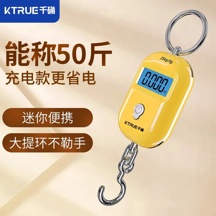 千确高精度迷你称菜电子秤家用小型精准便携式吊秤弹簧秤行李钩称