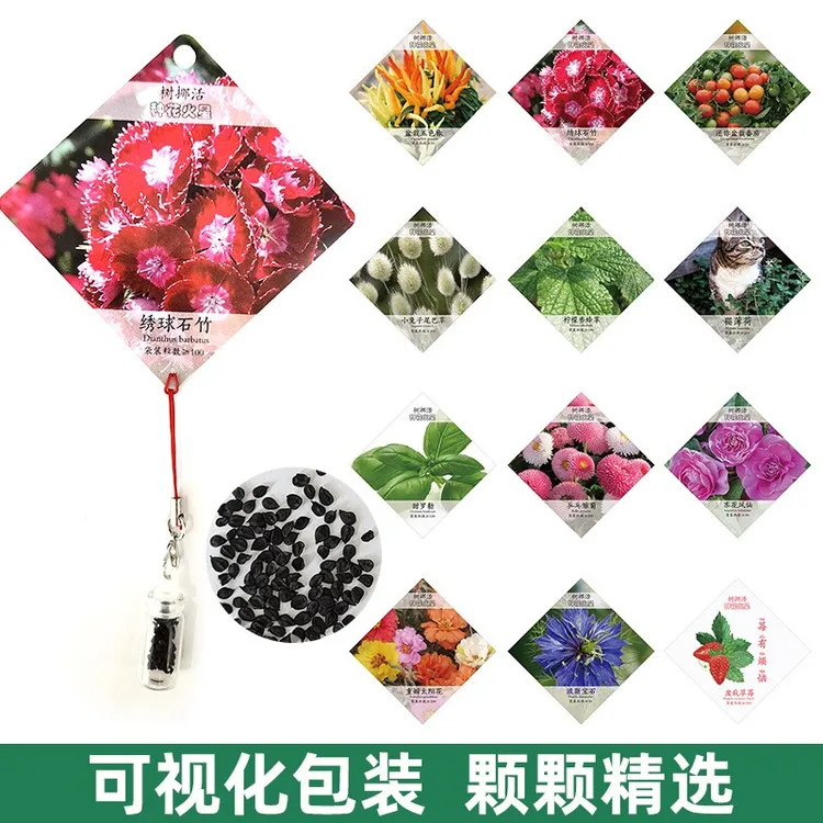 家用易播种种植好成活精品园艺花种儿童DIY种子趣味伴手礼包邮