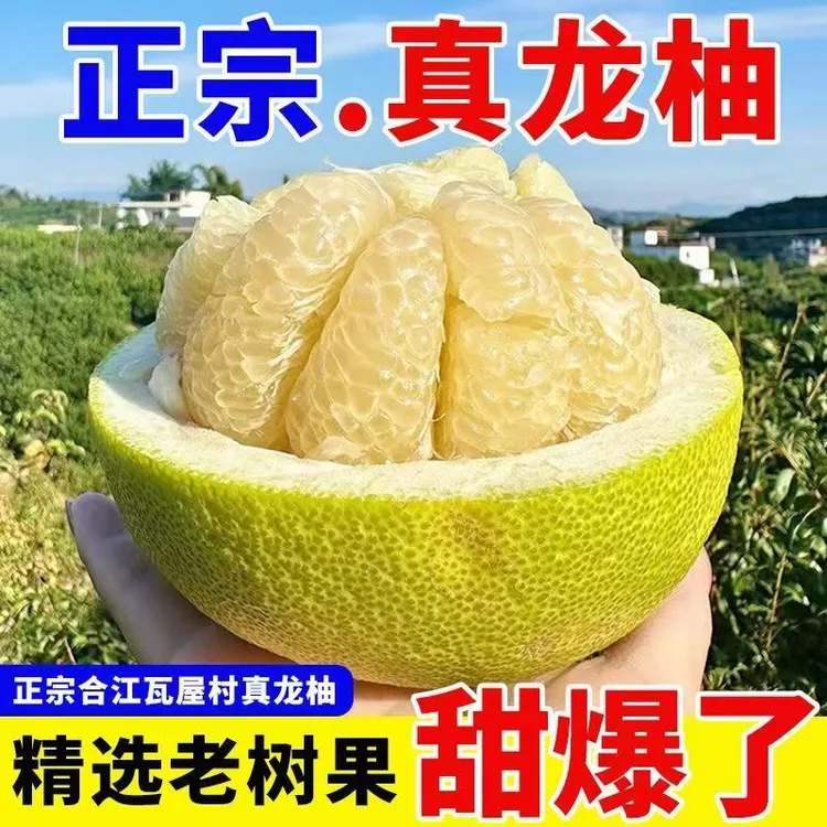 合江真龙柚【泸州合江特产】新鲜柚子大果纯甜无酸白肉柚子香甜柚子