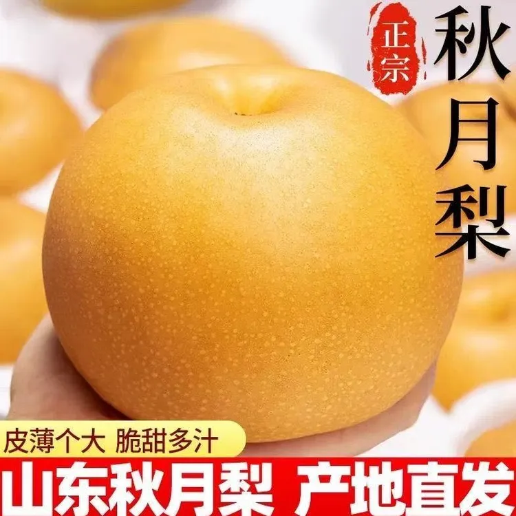 正宗烟台莱阳秋月梨大果冰糖蜜梨薄皮多汁当季新鲜水果梨子礼盒装