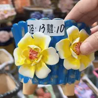 拍满18.8包邮发货