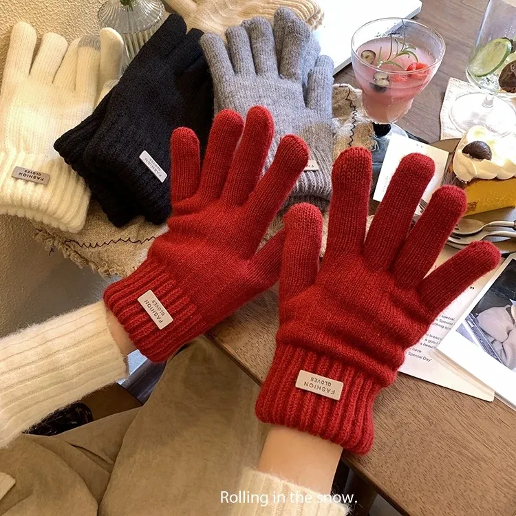 跨境手套女冬季骑车防寒保暖韩版日系加绒加厚双层全指学生可触屏