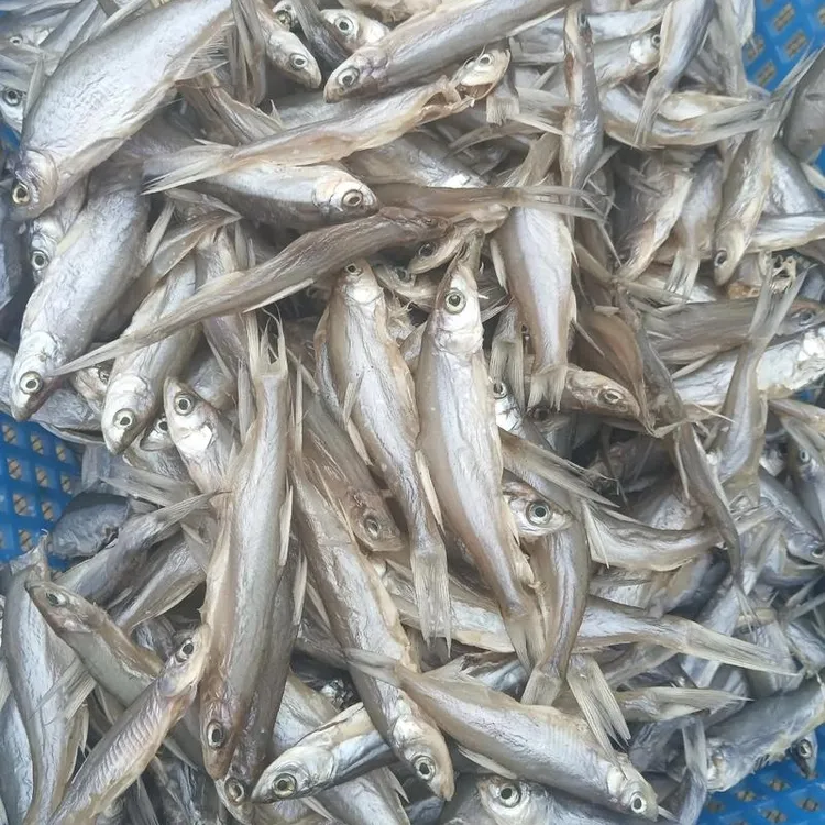 洪湖特产洪湖小餐子鱼，小白条鱼，腌制小鱼