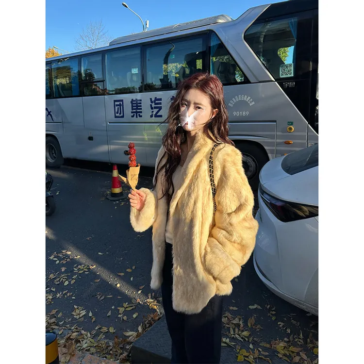 【海豚专属】AMYSURE FUR【中古黄金】韩系千金风翻领显瘦双色毛59583