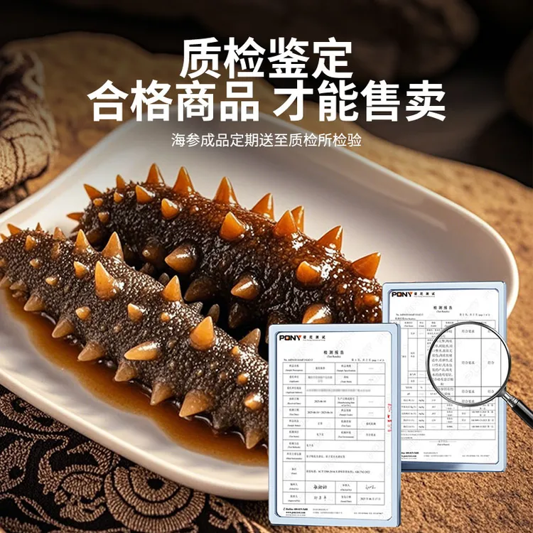 鲜食海参大连辽参软糯Q弹饱满顺丰冷链配送营养丰富千金