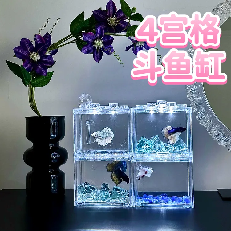 斗鱼缸可拆卸高清透明多格斗鱼缸4格8格造景迷你水族生态鱼缸带灯