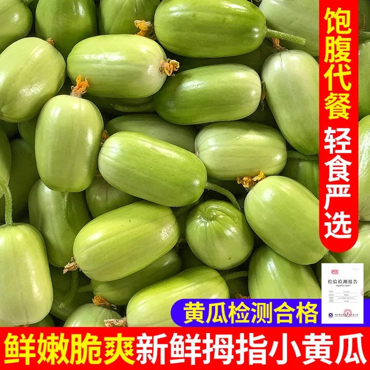 鲜嫩水果玉女黄瓜新鲜小乳瓜生吃拇指黄瓜寿光金童白玉水果小黄瓜商品图