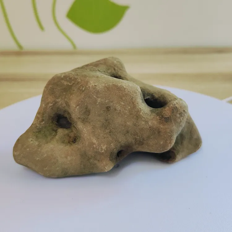 哮天犬无球粒陨石 哮天犬头象形石 太空石陨石 收藏石陨石