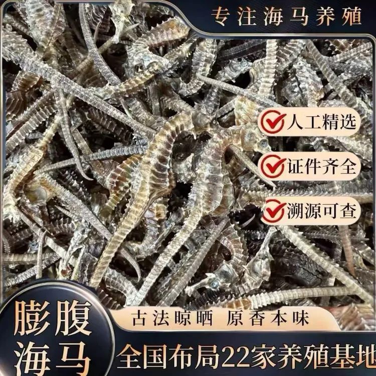 正品保真海马足干海干货海馬适合煲汤泡酒海马泡酒专用