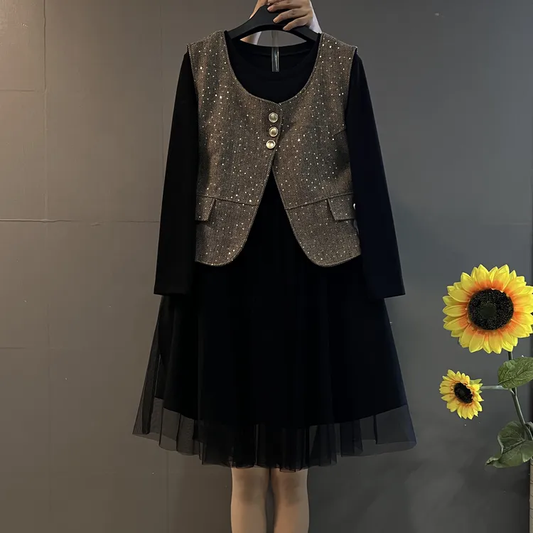 2025新款时尚气质套装宽松显瘦马甲➕长袖拼接网纱连衣裙