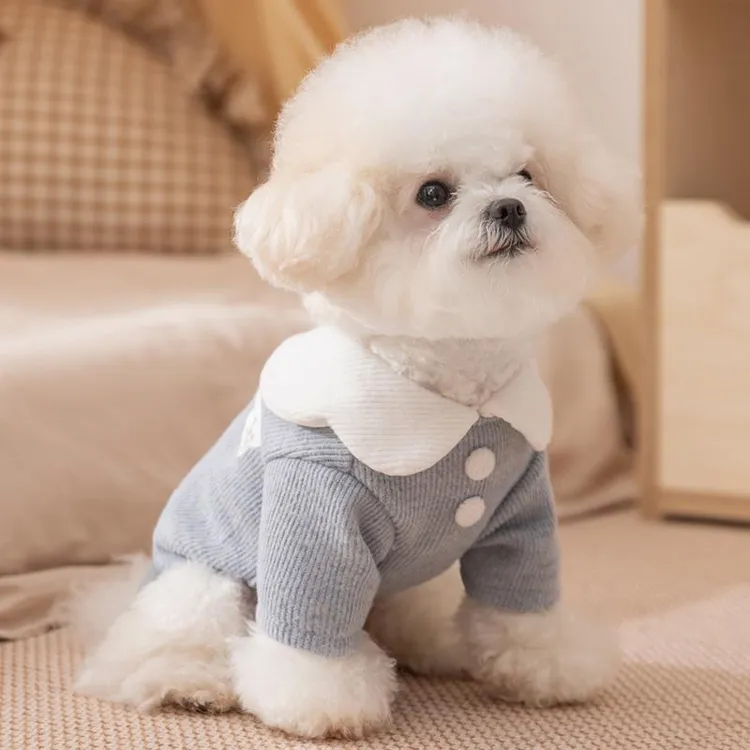 宠物娃娃领卫衣秋冬装小猫咪比熊泰迪狗狗衣服2025新款打底衫薄款