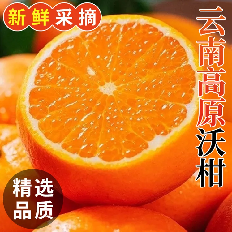 S1云南高山沃柑正宗新鲜多汁当季水果新鲜橘子应季水果整箱孕妇