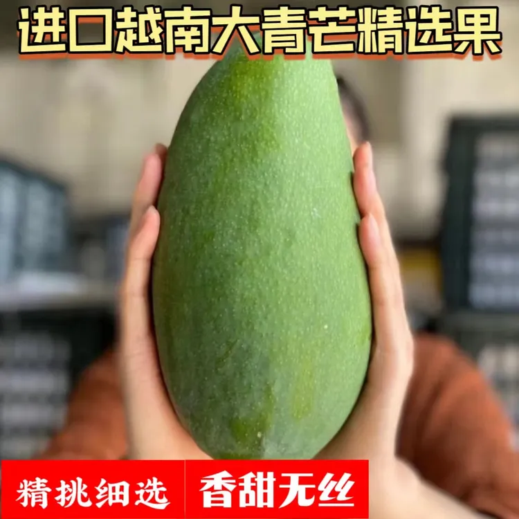 精品越南进口大青芒新鲜芒果生熟两吃孕妇水果金煌芒大果脆甜包邮