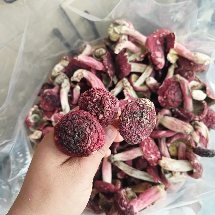 2025精选菇头（本地菇）