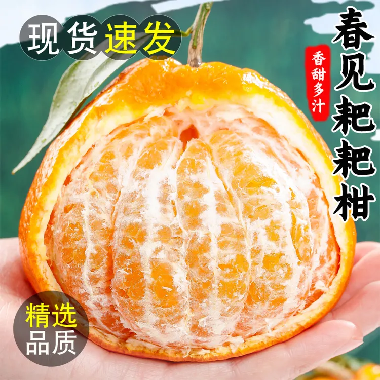 四川正宗春见耙耙柑3/5斤当季精选新鲜水果清甜多汁