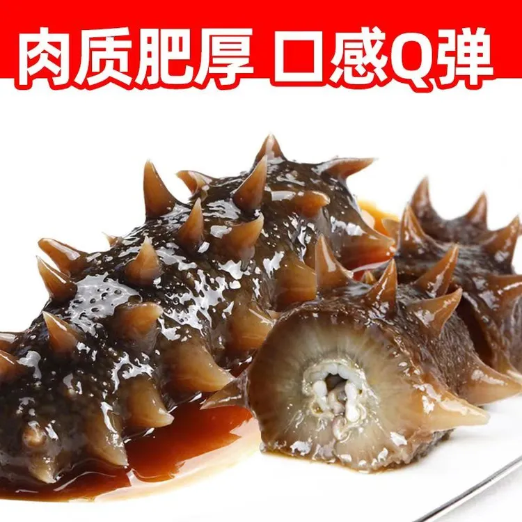 【开播福利】大连深海即食海参三斤装