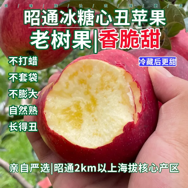 当季昭通冰糖心丑苹果官方旗舰店脆甜高山苹果新鲜应季水果
