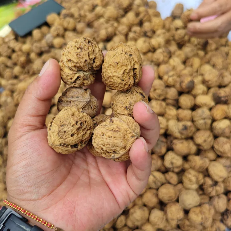 贵州野生薄壳核桃薄皮易剥营养丰富适合孕妇的坚果零食美味健康