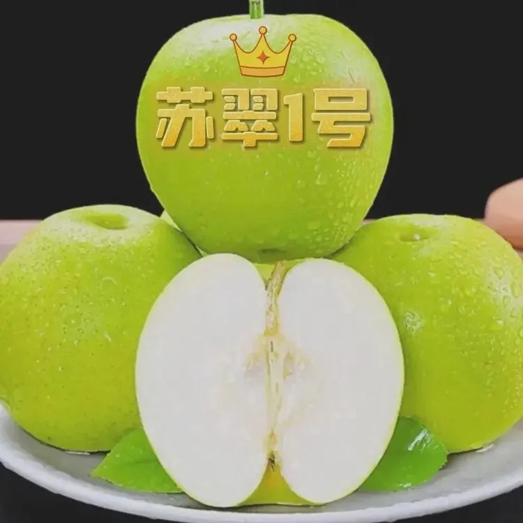 【宝贝加油专属】正宗砀山苏翠1号梨5/9斤酥脆香甜个个爆汁现采现发