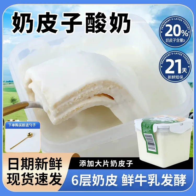 内蒙古鲜奶皮子抖音酸奶六层奶皮子抖音酸奶plus版