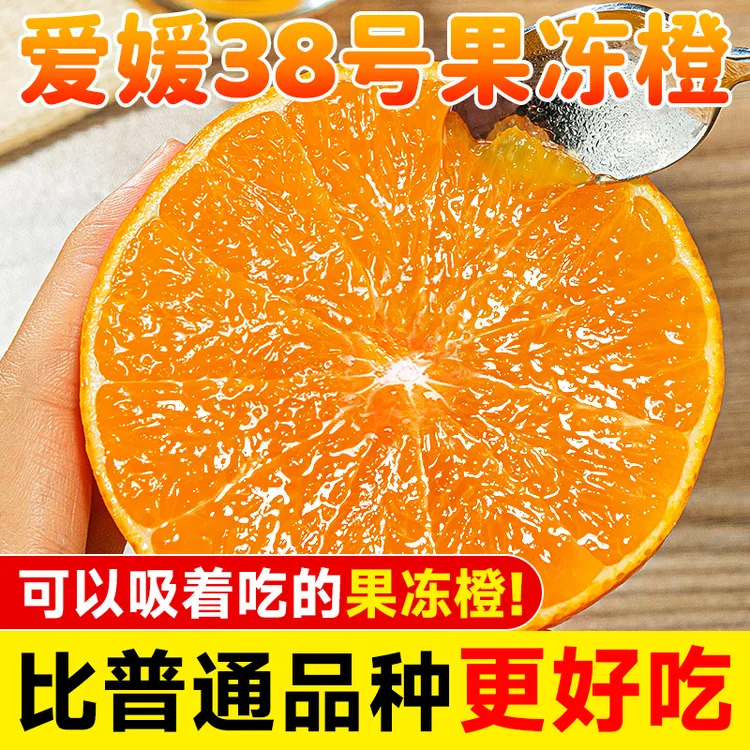 四川眉山爱媛38号果冻橙新鲜橙水果子当季整箱批发四川应季甜