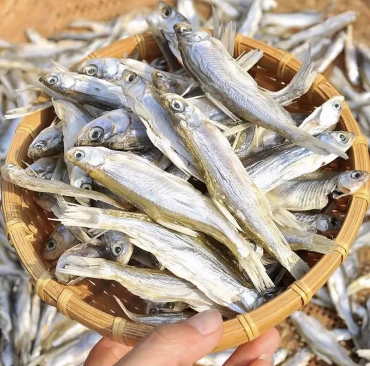 湖北洪湖特产风干腌制刁子鱼翘嘴鱼小鱼干淡水河鱼干货