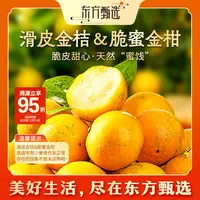 东方甄选自营广西滑皮金桔/脆蜜金柑（5日内发货）新鲜水果坏果包赔