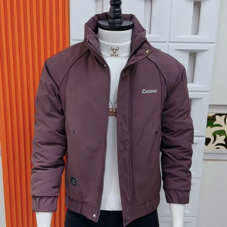 2025冬季新款男士时尚简约轻奢棉服韩版休闲高级感抗寒保暖帅棉衣