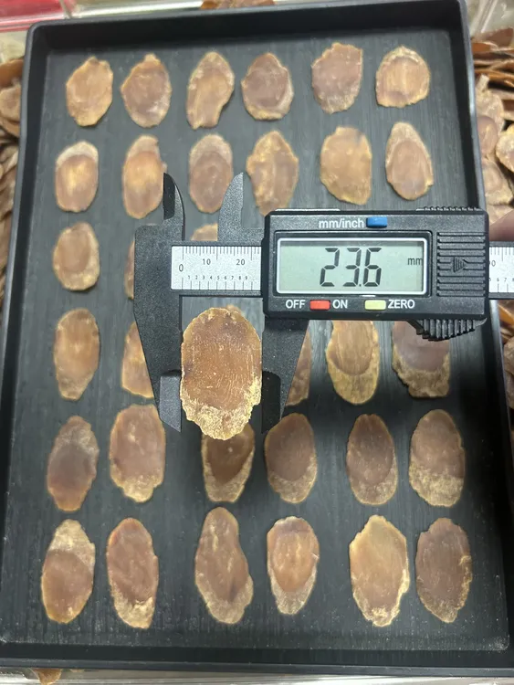 长白山红参片特大片约2.2-2.5滋补佳品可泡水煮水煲汤